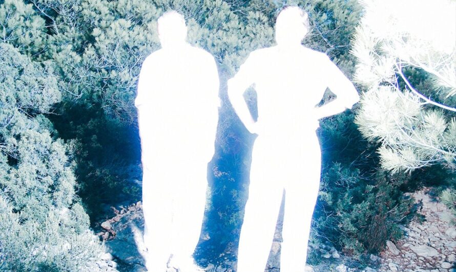 Soulwax champion modular on double single ‘Gimme A Reason / Meanwhile On The Continent’