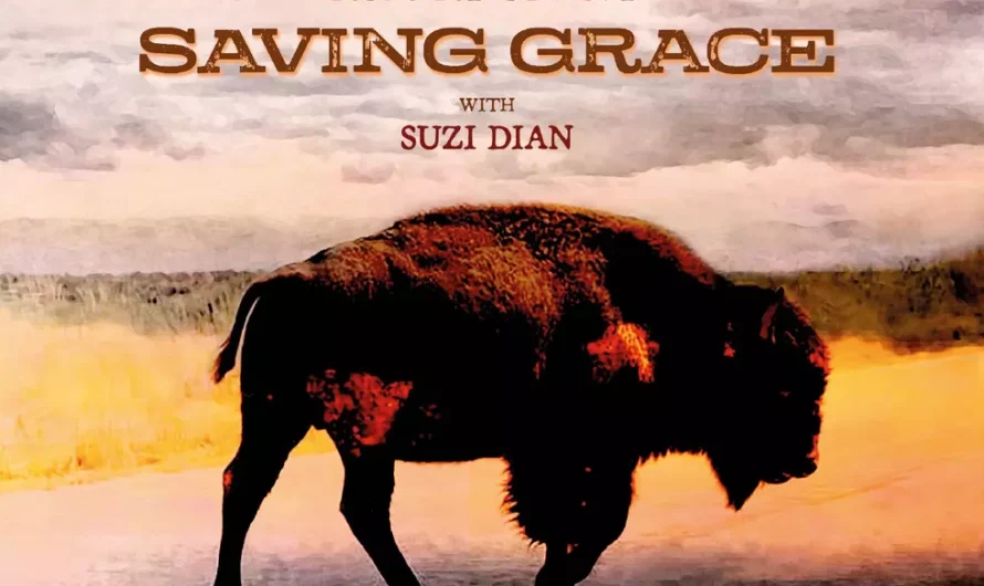 Robert Plant, ‘Saving Grace’: Album Review