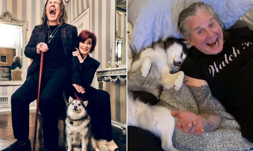 Ozzy Osbourne’s Rescue Dog Dies Two Months After His Death, Sharon Osbourne Reveals