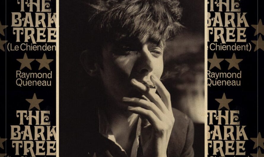 ‘The Bark Tree’: How Rowland S Howard’s favourite book reflects his mysterious artistic footprint